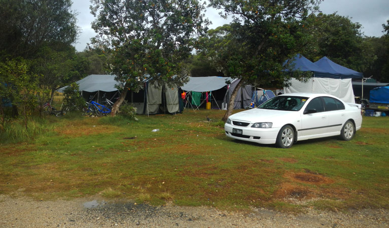 Kylies Beach campground | campground | Metcalfes Walk, Crowdy Bay National Park NSW 2443, Australia | 0265885555 OR +61 2 6588 5555