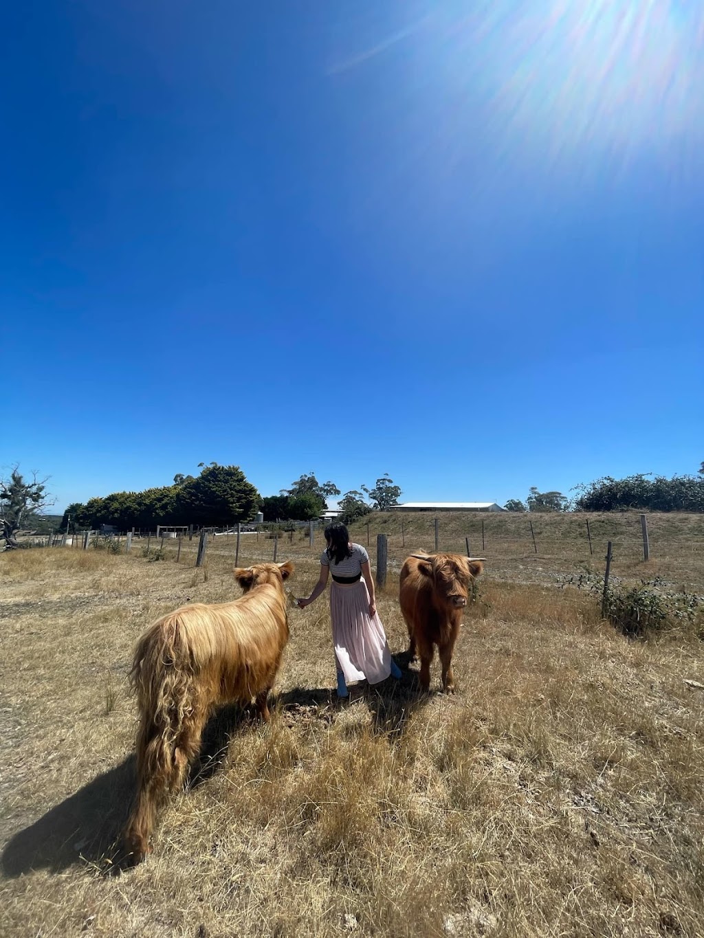 Ballybrook Farm | 602 Couangalt Rd, Gisborne VIC 3437, Australia | Phone: 0409 196 110