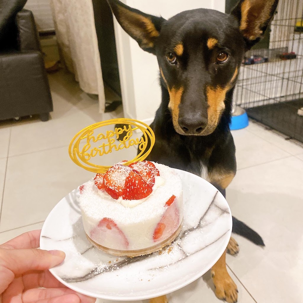 I Pet Bakery | 36 Ascent St, Rochedale QLD 4123, Australia | Phone: 0425 002 864