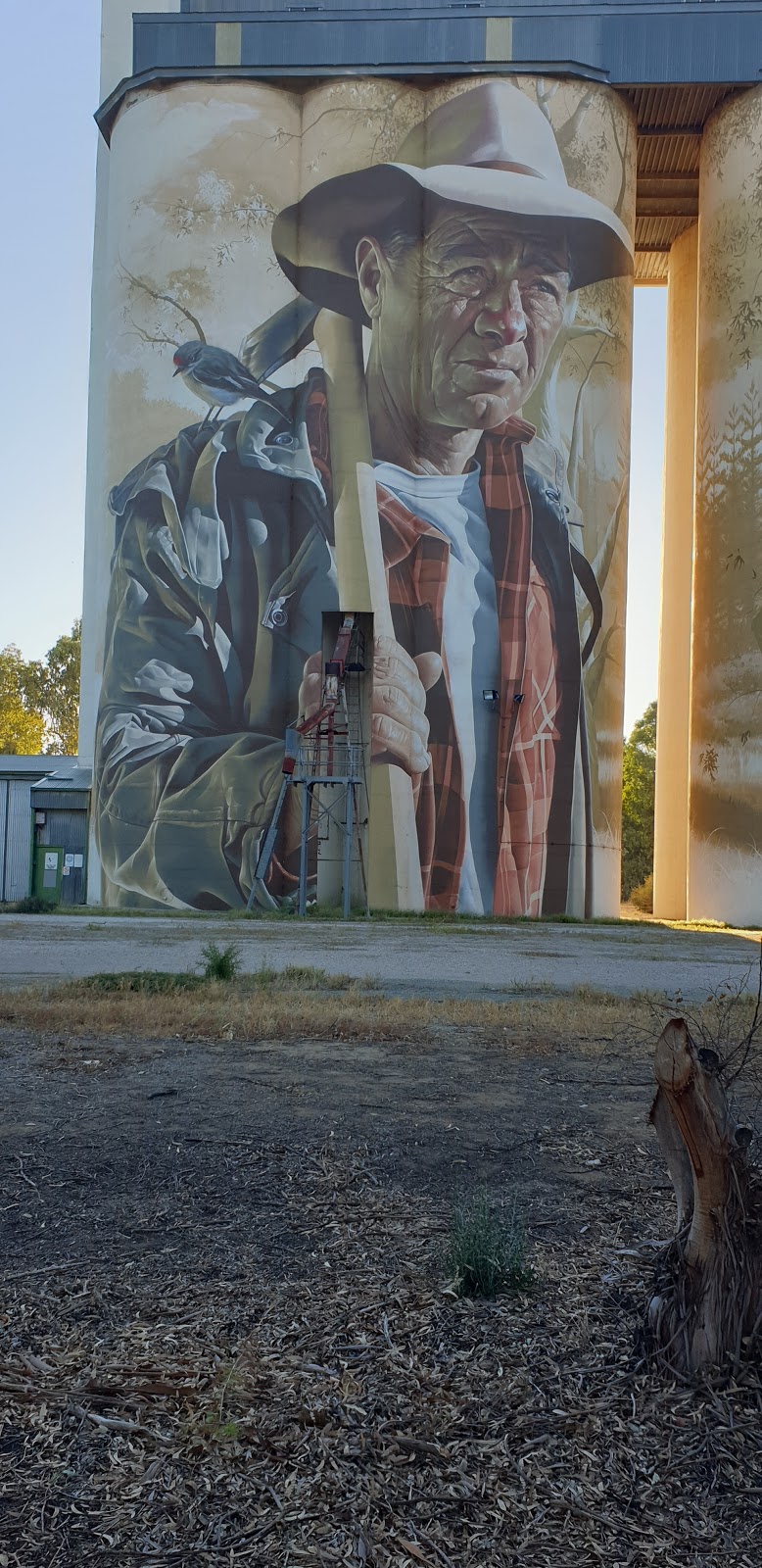 Wirrabara Silo Art | museum | Forest Rd, Wirrabara SA 5481, Australia