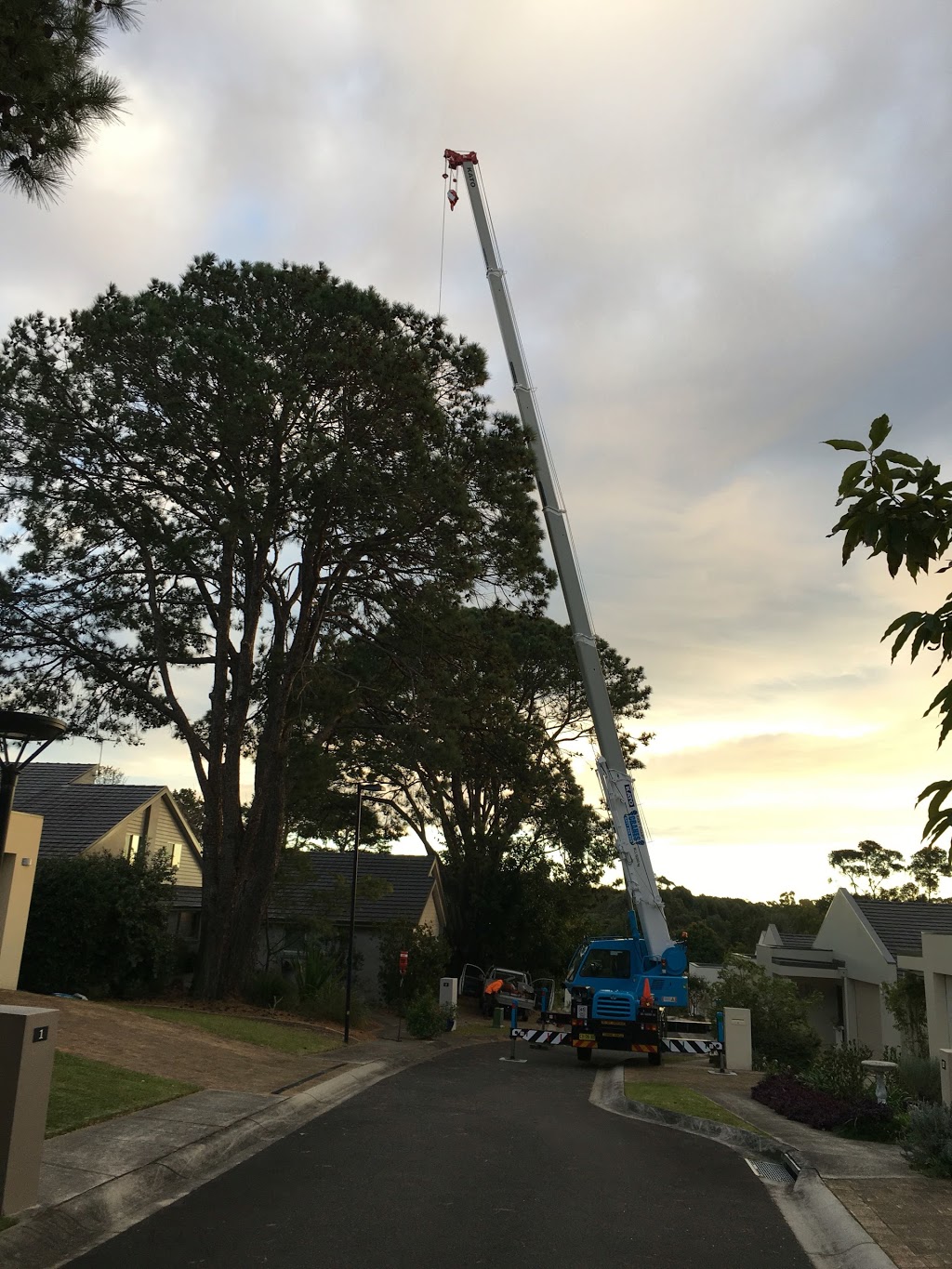 East Coast Crane Services Pty Ltd | 3 Chiltern Rd, Ingleside NSW 2101, Australia | Phone: 0477 223 855