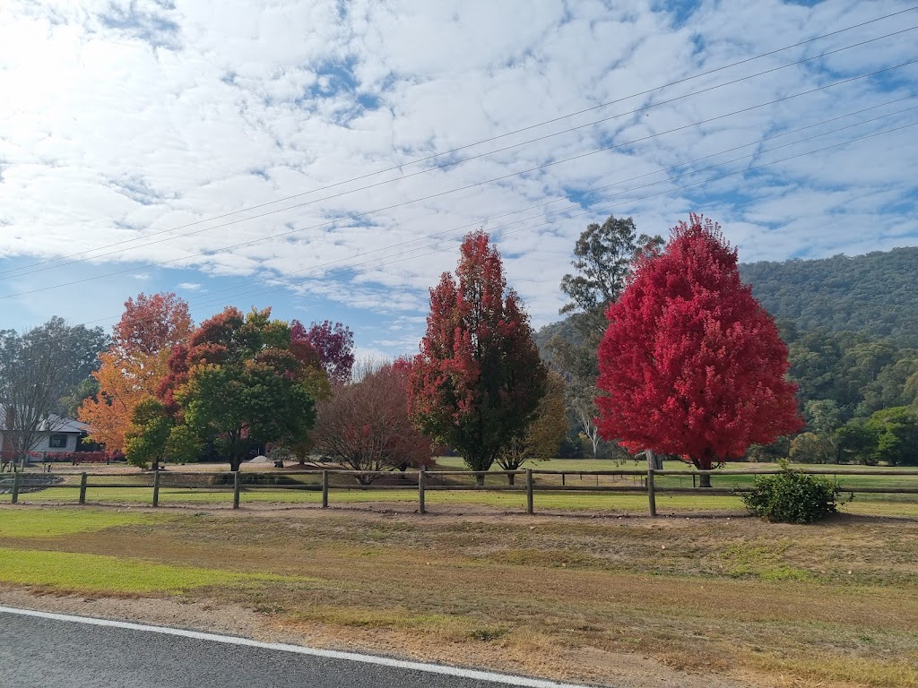 Dartmouth Pub Camp ground | 1 Murtagh Pl, Dartmouth VIC 3701, Australia | Phone: (02) 6072 4279