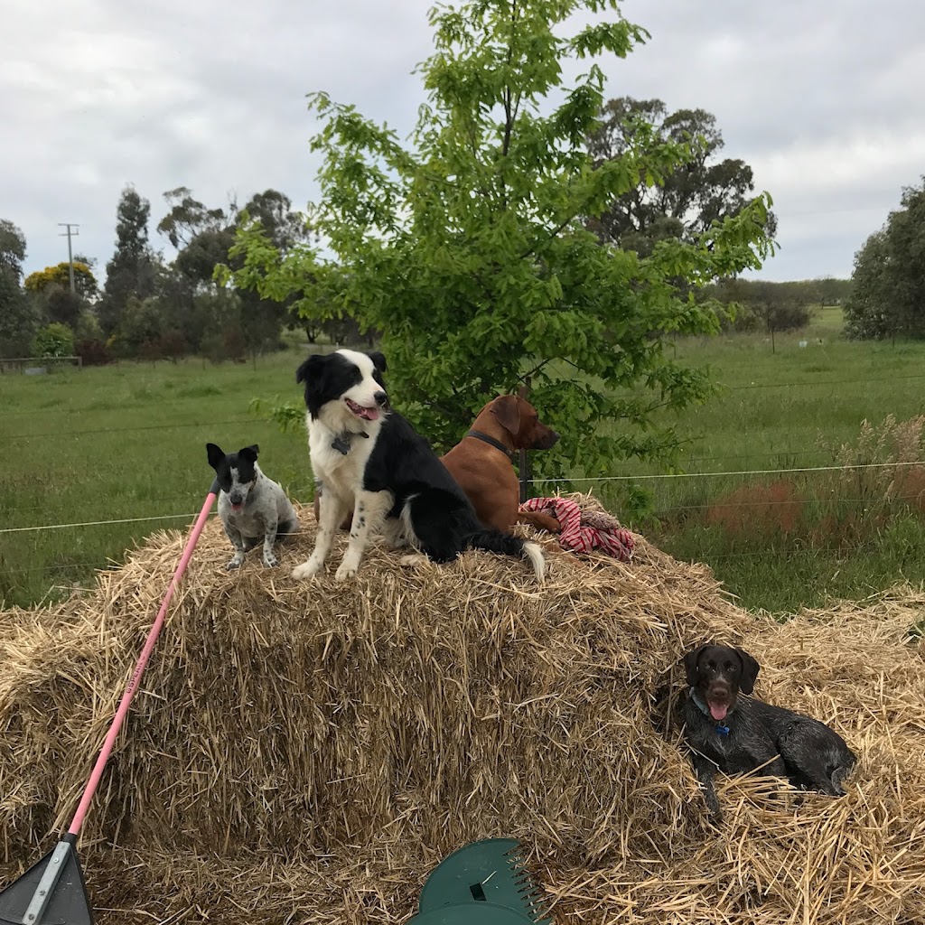 The Dog House Farm Stay | 46 Lawrie Rd, Beechworth VIC 3747, Australia | Phone: 0447 943 266