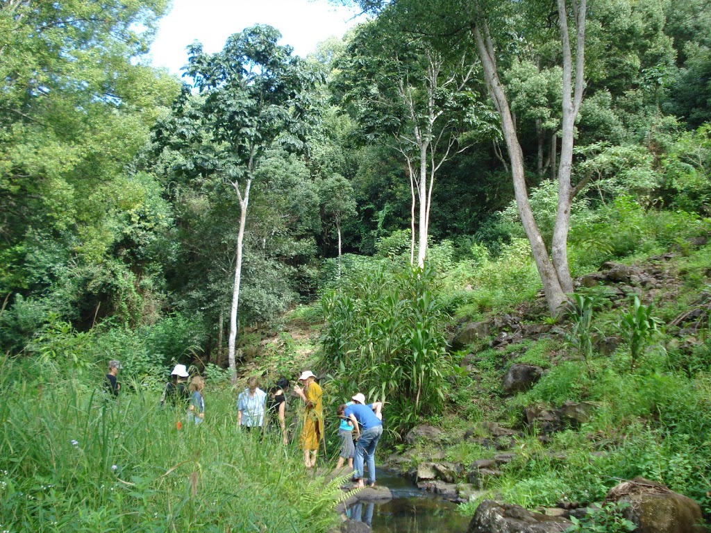 Bodhi Tree Forest Monastery & Vipassana Retreat Centre | 78 Bentley Rd, Tullera NSW 2480, Australia | Phone: (02) 6628 2426