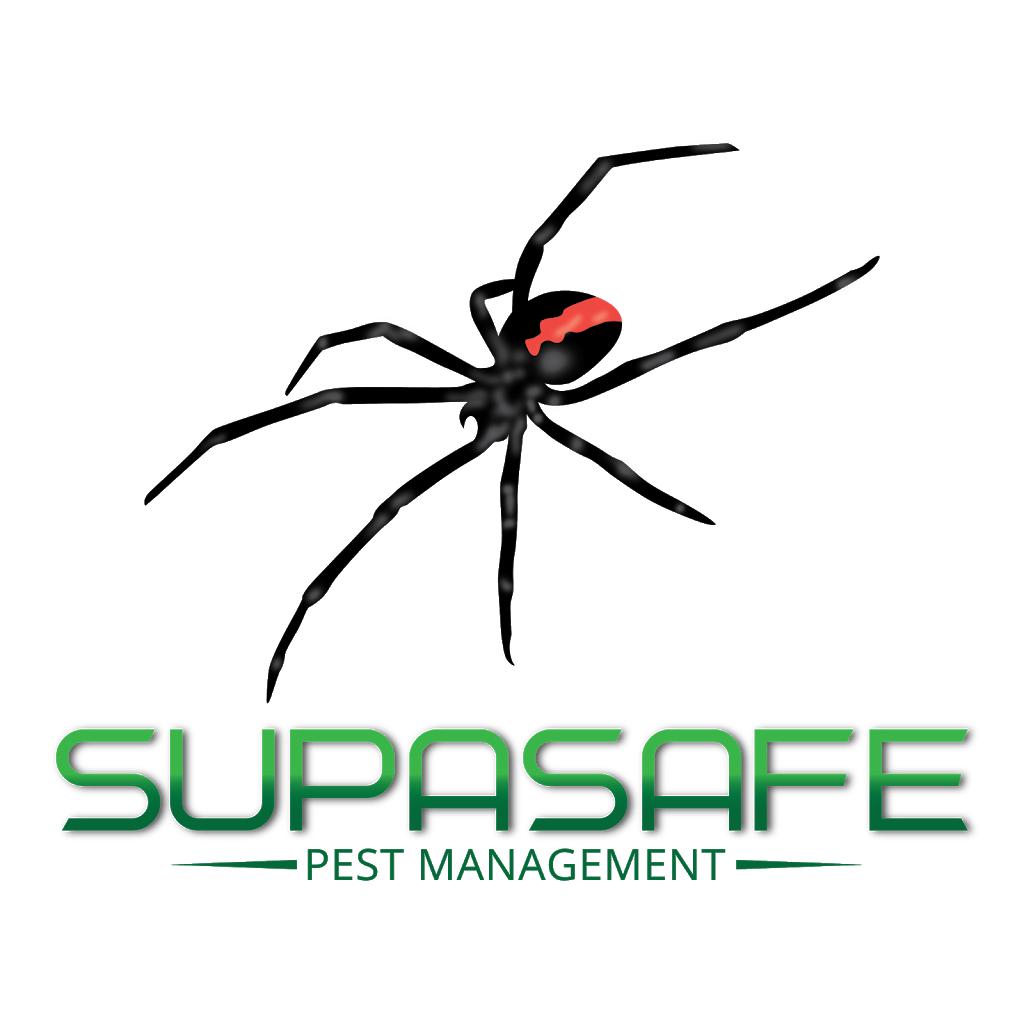 Supasafe Pest Management | 8573 New England Hwy, Hampton QLD 4352, Australia | Phone: 0459 604 514