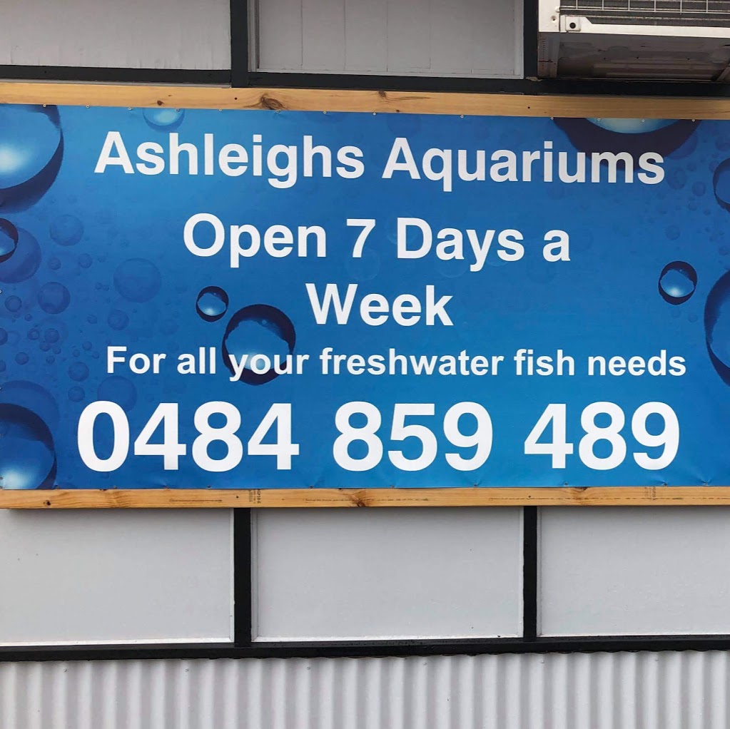 Ashleighs Aquariums | 151 Lacey St, Whyalla Playford SA 5600, Australia | Phone: 0484 859 489