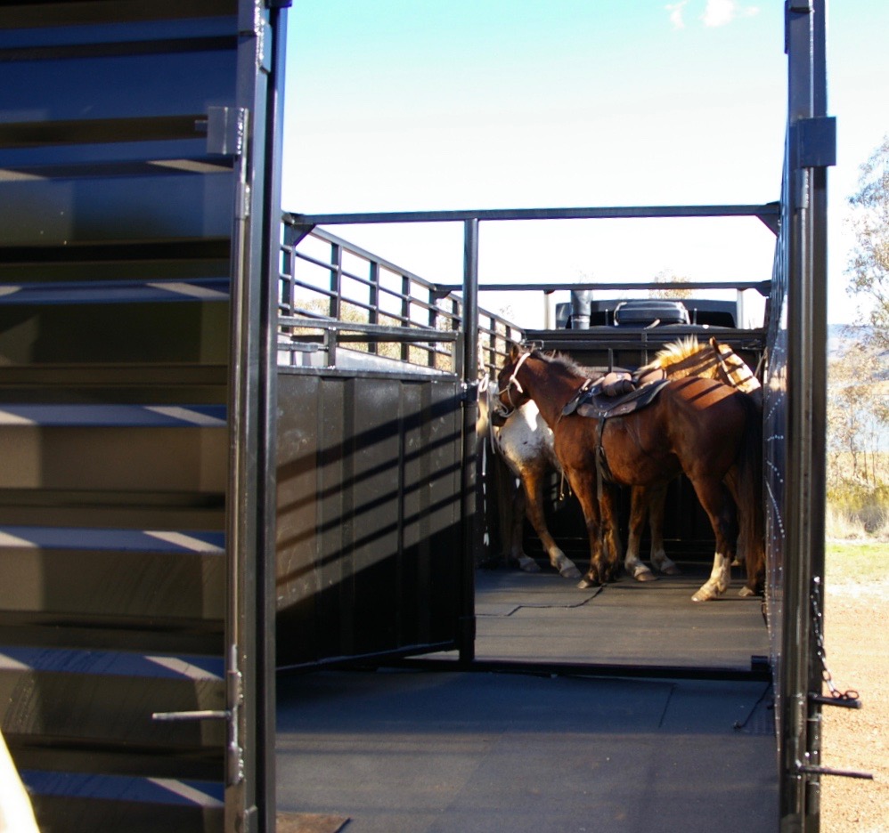 NORTH EAST LIVESTOCK TRANSPORT 148 Anzac Rd, Springhurst VIC 3682, Australia