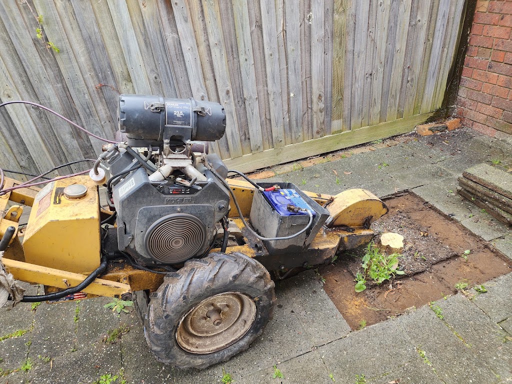 Removastump | 3 Harnett St, Boronia VIC 3155, Australia | Phone: 0425 736 571