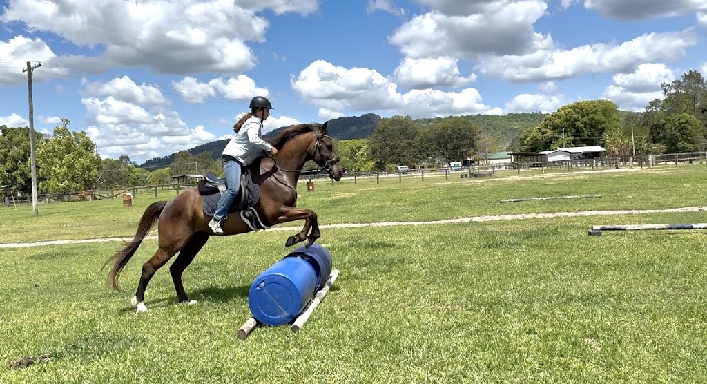 Mullumbimby Equestrian Centre | 310 Left Bank Rd, Mullumbimby Creek NSW 2482, Australia | Phone: 0413 959 708