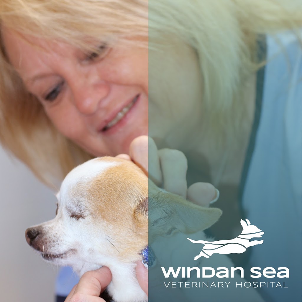 WindanSea Veterinary Hospital Forster | veterinary care | 112 MacIntosh St, Forster NSW 2428, Australia | 0265552275 OR +61 2 6555 2275