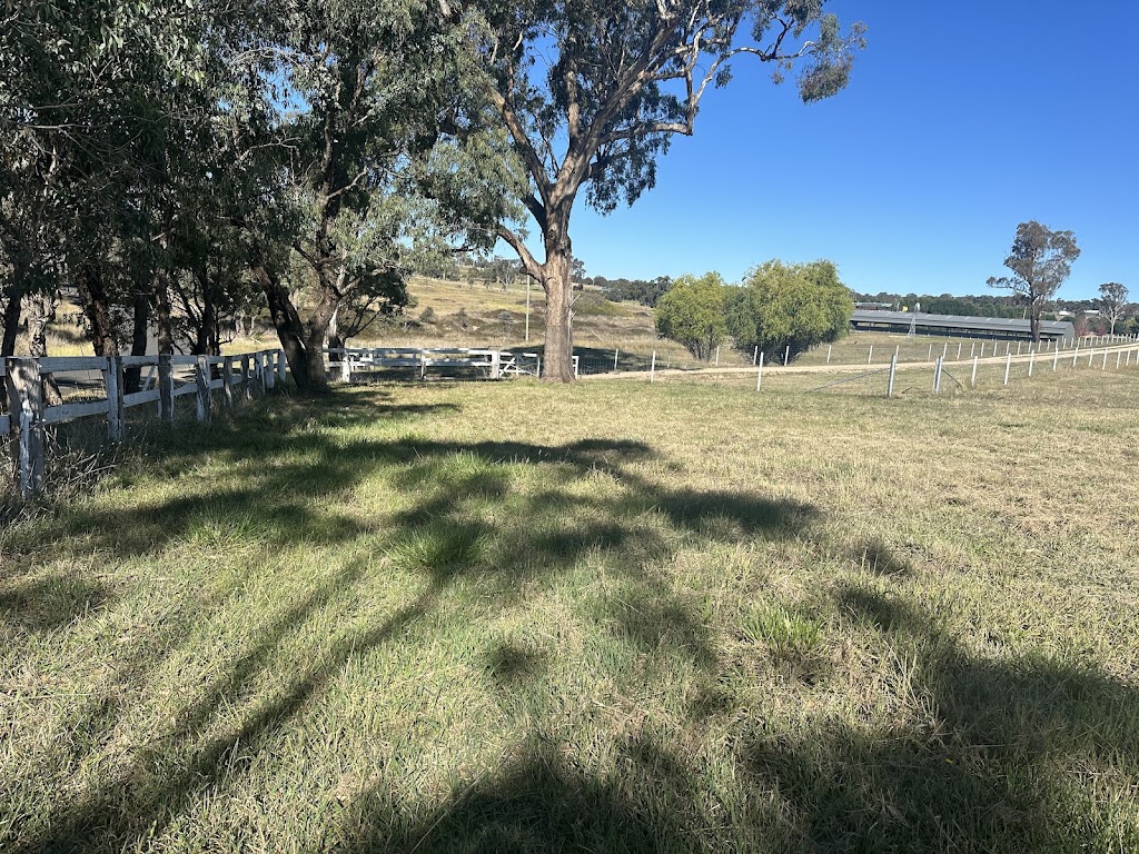 Willowtree Stables | 1659 Mutton Falls Rd, OConnell NSW 2795, Australia | Phone: 0410 531 798