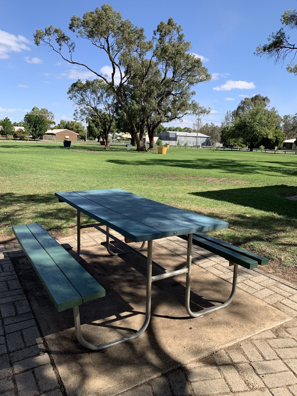 Balranald Lions Park | 182 Market St, Balranald NSW 2715, Australia | Phone: (03) 5020 1300