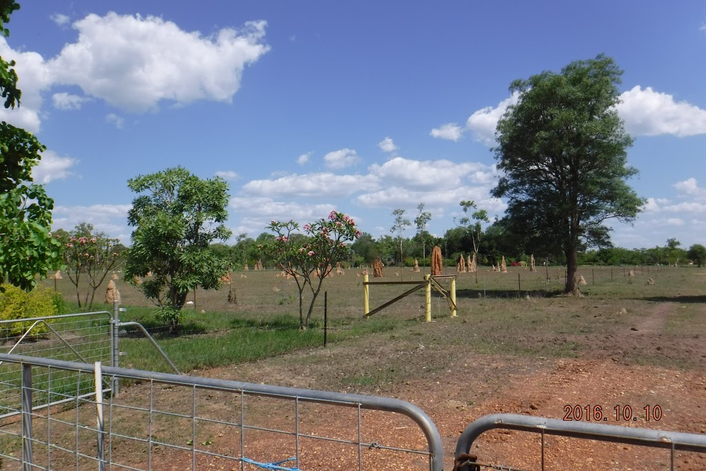 Anthill Gardens | park | 445 Cox Peninsula Rd, Berry Springs NT 0838, Australia | 0889884946 OR +61 8 8988 4946