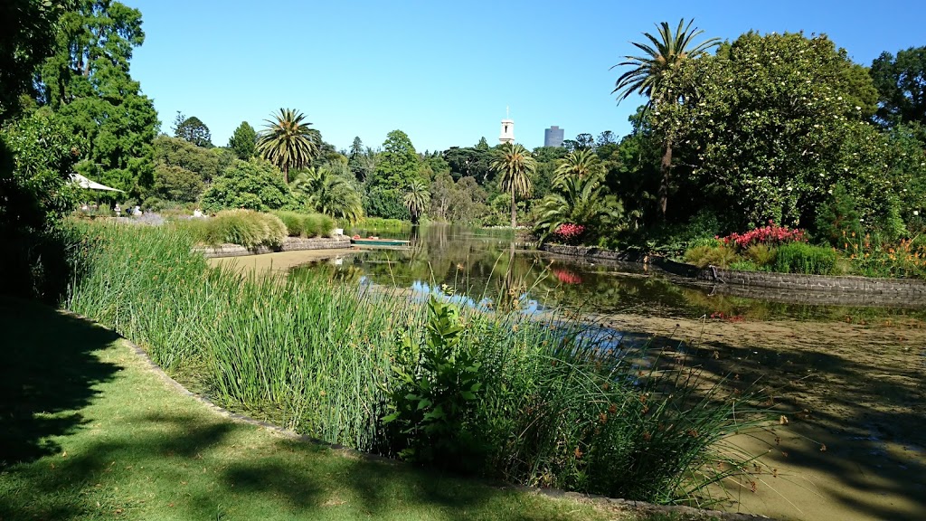 Royal Botanic Gardens Victoria - Melbourne Gardens | park | Birdwood Ave, South Yarra VIC 3141, Australia | 0392522300 OR +61 3 9252 2300