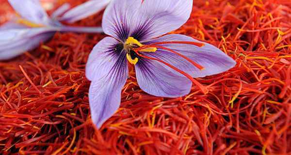 Pure Iranian Saffron | 2/18a Meadow Cres, Meadowbank NSW 2114, Australia | Phone: 0404 630 644