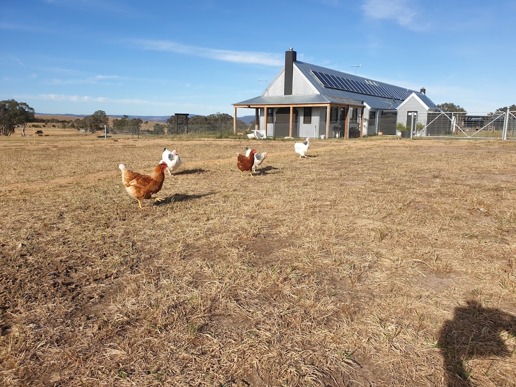 Yass Tiny Farm and Accommodation | 771 Good Hope Rd, Good Hope NSW 2582, Australia | Phone: 0412 669 519