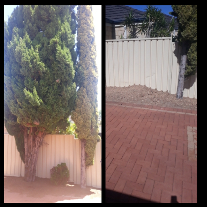 Tree Services Perth - Treeze | 173 Crawford St, East Cannington WA 6107, Australia | Phone: 0474 381 684