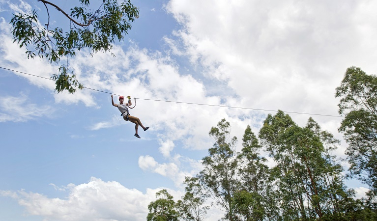 WildNets Adventure Newcastle - Previously TreeTops | Treetops Rd, Minmi NSW 2287, Australia | Phone: 0435 422 447