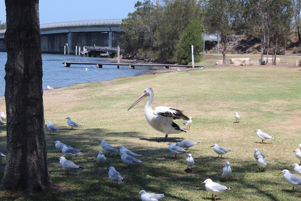 Wallarah Point Peace Park | park | 1 The Corso, Gorokan NSW 2263, Australia