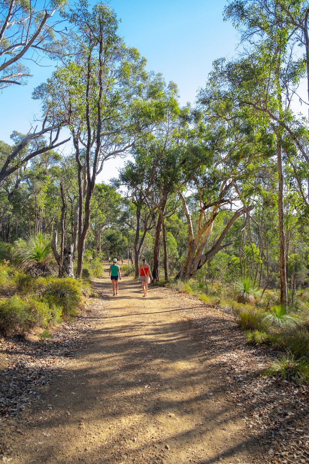 Lake Leschenaultia Campground & Reflections Cafe | 2134 Rosedale Rd, Chidlow WA 6556, Australia | Phone: 92906645