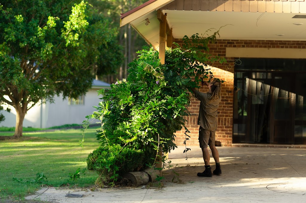 Redgum Wildscapes | Black Hill Rd, Black Hill NSW 2322, Australia | Phone: 0410 055 956