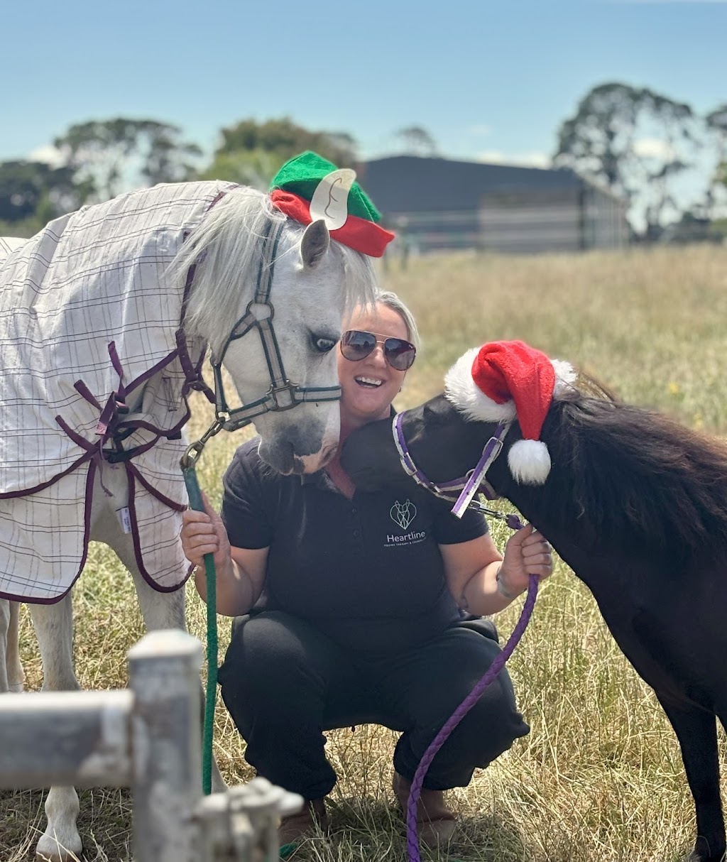 Heartline Equine Therapy and Counselling | 272 Warragul-Lardner Rd, Warragul VIC 3820, Australia | Phone: 0408 984 493