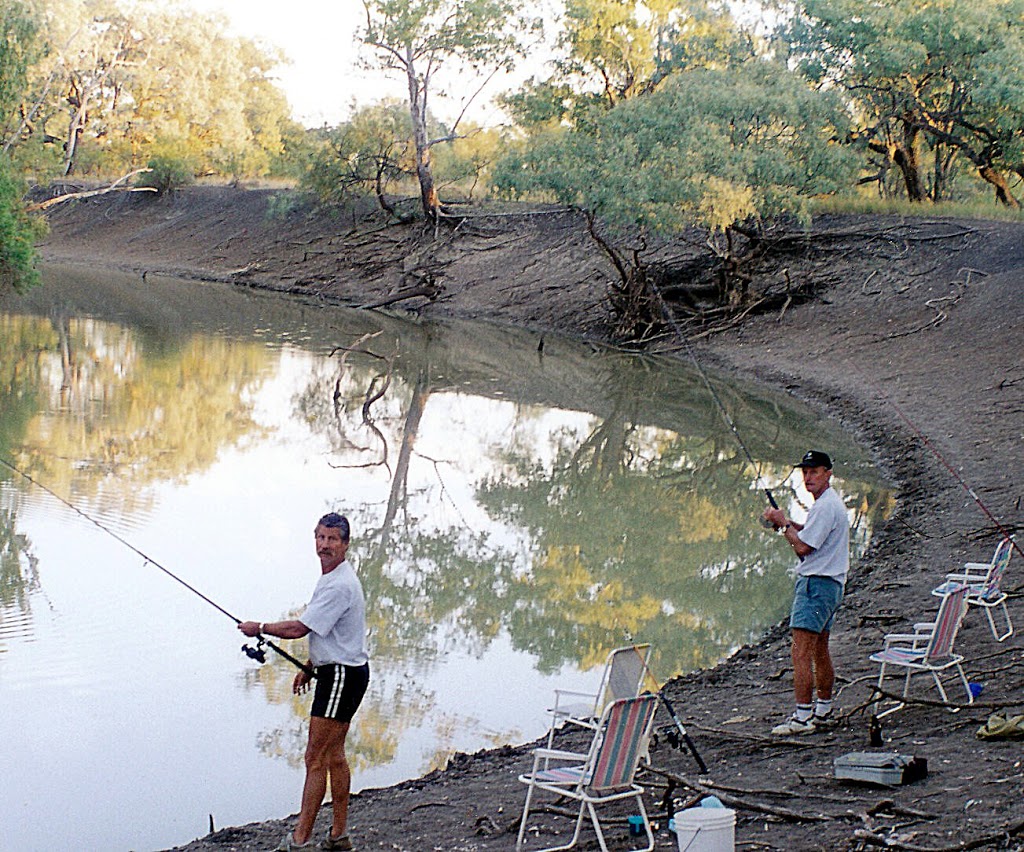 NAMOI RIVER CAMP GROUND. | Baradine-Collarenebri Rd, Pilliga NSW 2388, Australia