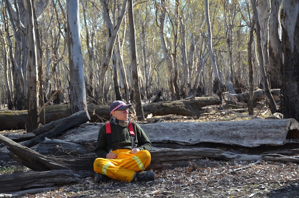 Phoenix Wildfire Management | 240 White Quartz Rd, Fryerstown VIC 3451, Australia | Phone: 0427 403 229