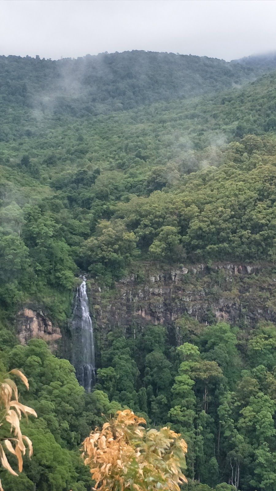 Lamington National Park | park | Queensland, Australia | 137468 OR +61 137468