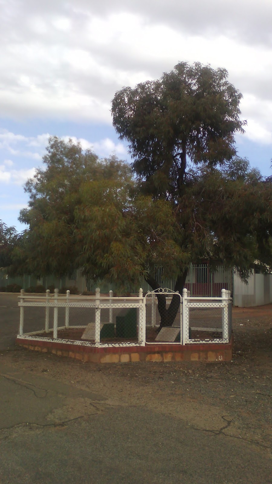 Paddy Hannan Tree | park | Kalgoorlie WA 6430, Australia | 0890219600 OR +61 8 9021 9600