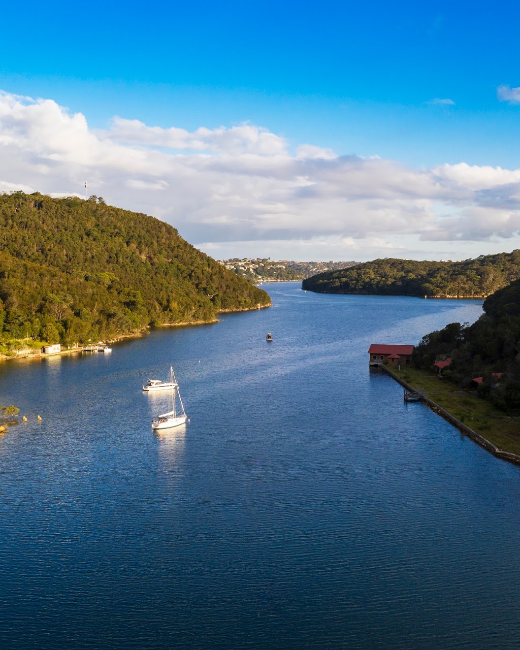 Sydney Harbour Safaris Boat Tours | travel agency | 8 Lowing Cl, Forestville NSW 2087, Australia | 0490701016 OR +61 490 701 016