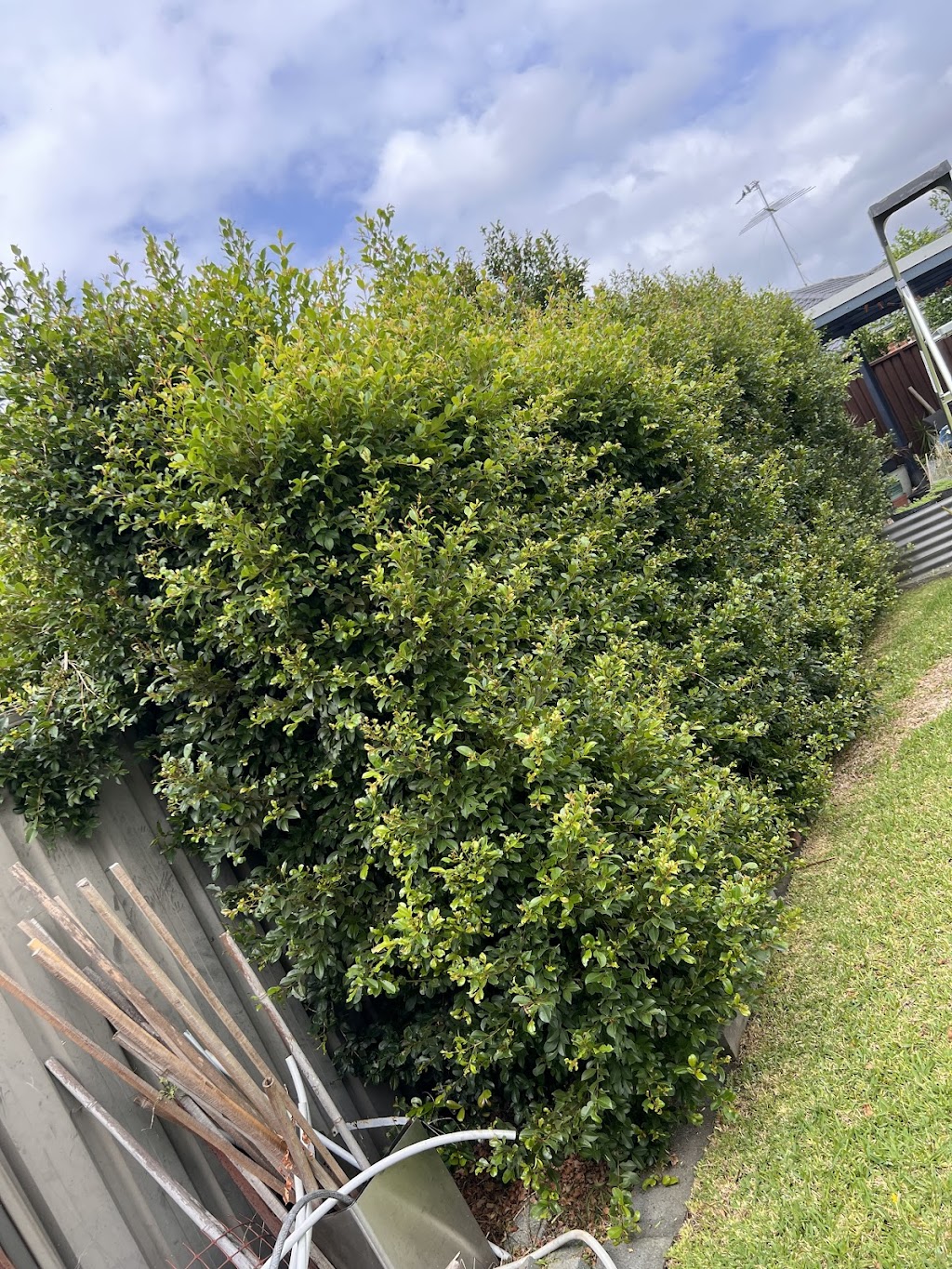 Mr Mower and removal services | 22 Tamborine Dr, Minto NSW 2566, Australia | Phone: 0420 272 114