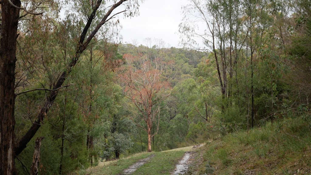 Warrandyte - Kinglake Nature Conservation Reserve - Meadow | park | Unnamed Road, Smiths Gully VIC 3760, Australia
