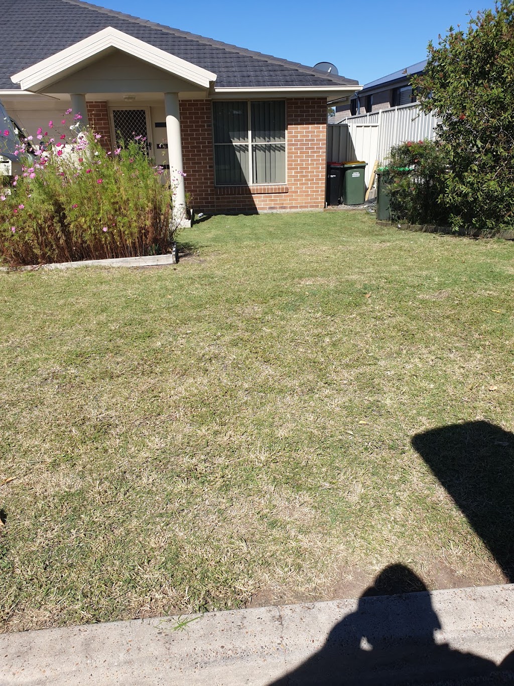 Dan & Spin lawns Singleton |  | 29 Wentworth Ave, Singleton Heights NSW 2330, Australia | 0452099581 OR +61 452 099 581