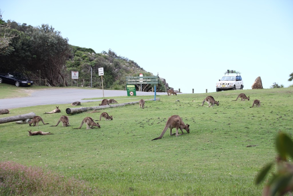 Little Bay Picnic Area | South West Rocks NSW 2431, Australia