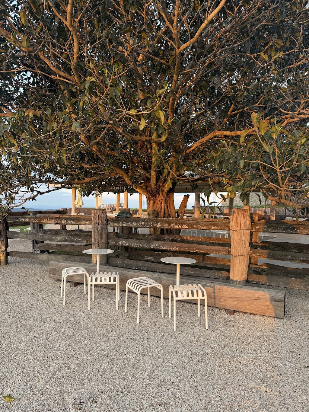 The Dairy Bakehouse | 70 Philp Rd, Ravensbourne QLD 4352, Australia | Phone: 0408 930 206