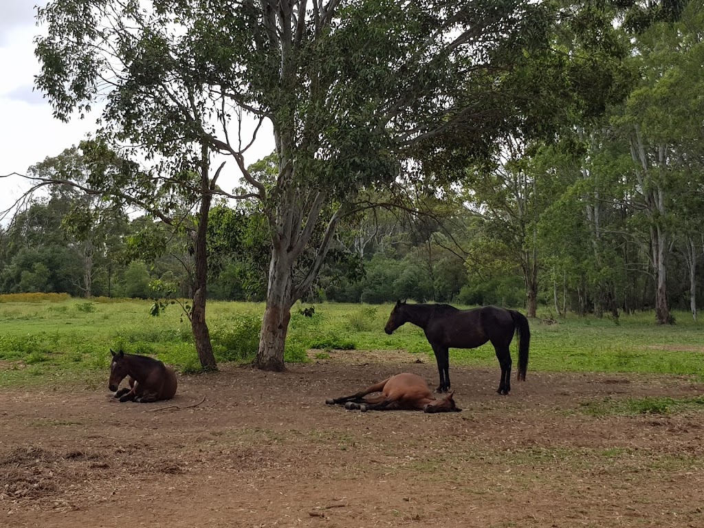 Riding for the Disabled Association (NSW) - Nepean Centre | 18 Samuel Marsden Rd, Orchard Hills NSW 2748, Australia | Phone: (02) 9623 4173
