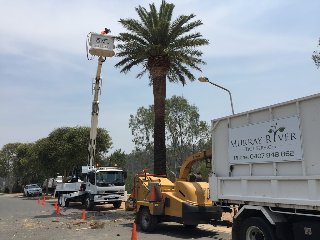 Murray River Tree Services | Pasley St, Bundalong VIC 3730, Australia | Phone: 0437 799 837