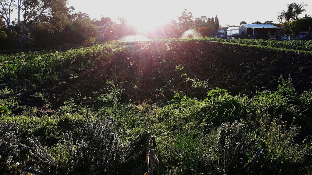 Merri Creek Market Garden | park | Merri Creek Trail, Brunswick East VIC 3057, Australia | 0393890100 OR +61 3 9389 0100