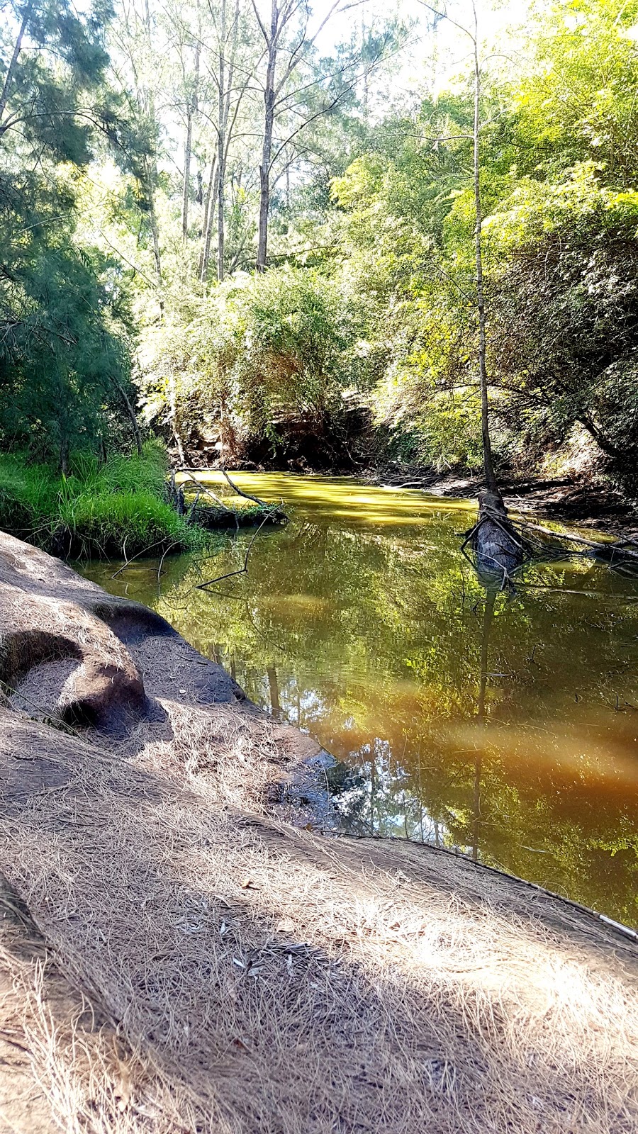 Wollombi Brook nature trail | Brook, Wollombi NSW 2325, Australia