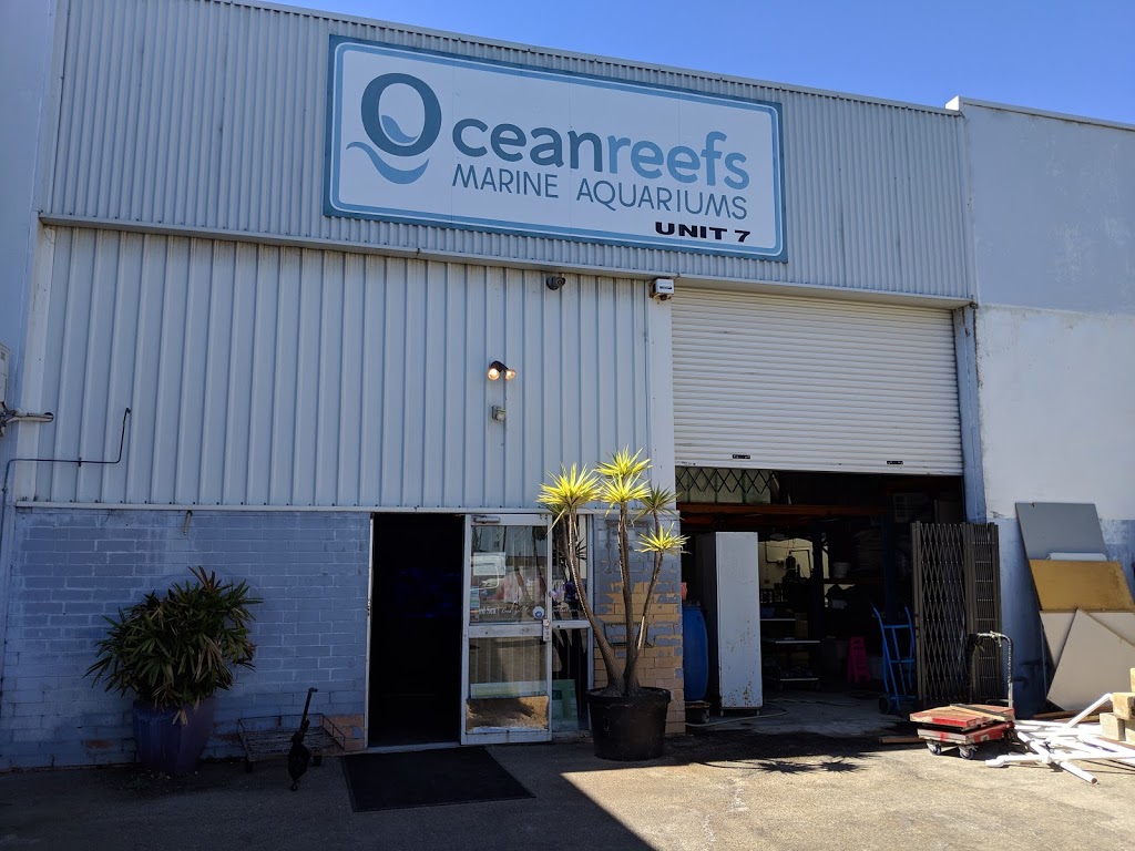 Ocean Reefs Marine Aquariums | 7/51 Buckingham Dr, Wangara WA 6056, Australia | Phone: (08) 9409 3039