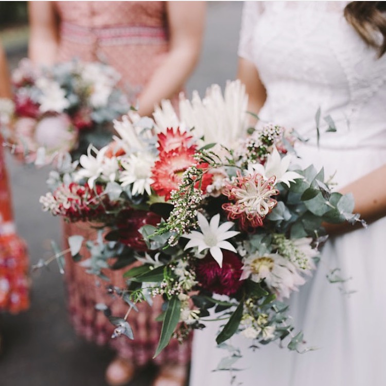 Hearty Blooms | Cargo Rd, Nashdale NSW 2800, Australia | Phone: 0483 148 429