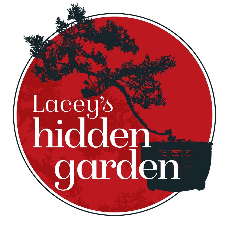 Laceys Hidden Garden east meets west open by appointment and Melbourne cup weekend | park | 6 Canrobert St, Newstead VIC 3462, Australia | 0417581808 OR +61 417 581 808