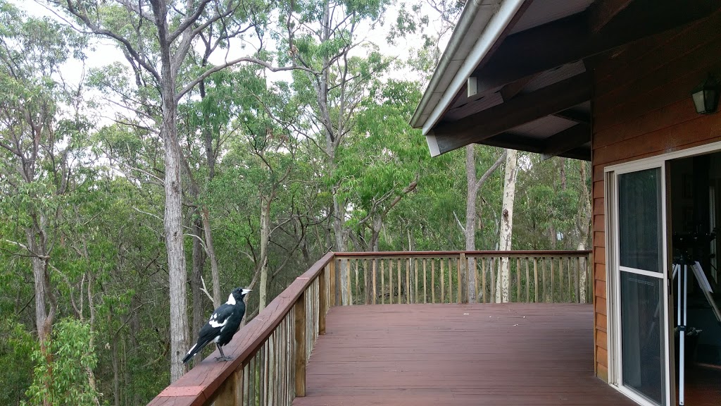 Collina Cabin | lodging | Lot 11 Goanna Grove, Vacy NSW 2421, Australia
