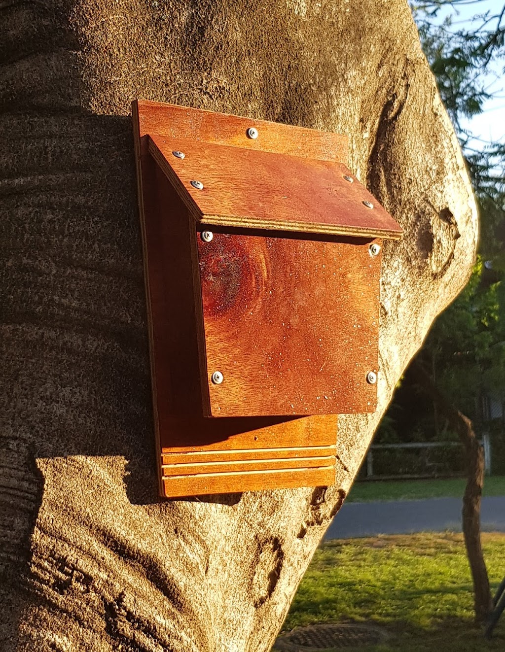 Comfy Creatures | 94 Stanton Cross Dr, Karalee QLD 4306, Australia | Phone: 0437 837 473