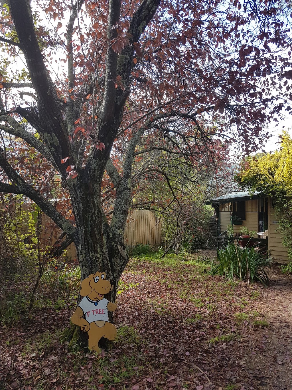 Daylesford Country Cottages | lodging | 45 Main Rd, Hepburn Springs VIC 3461, Australia | 0479074518 OR +61 479 074 518