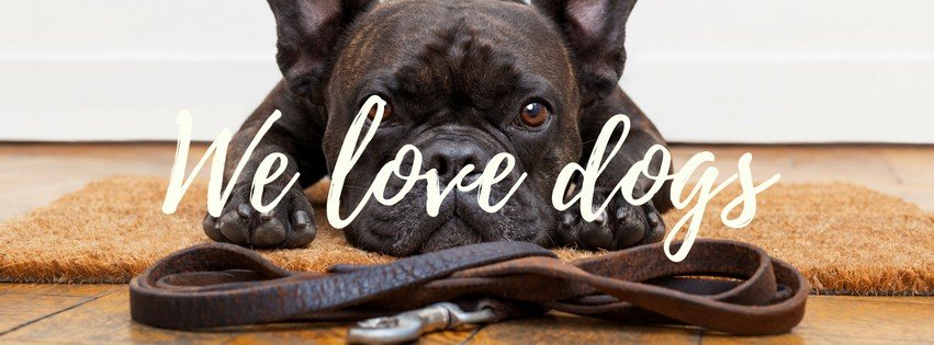 Live Love Bark - Dog Grooming and Training | 65 Ascot Ave, Munno Para West SA 5115, Australia | Phone: 0484 256 144