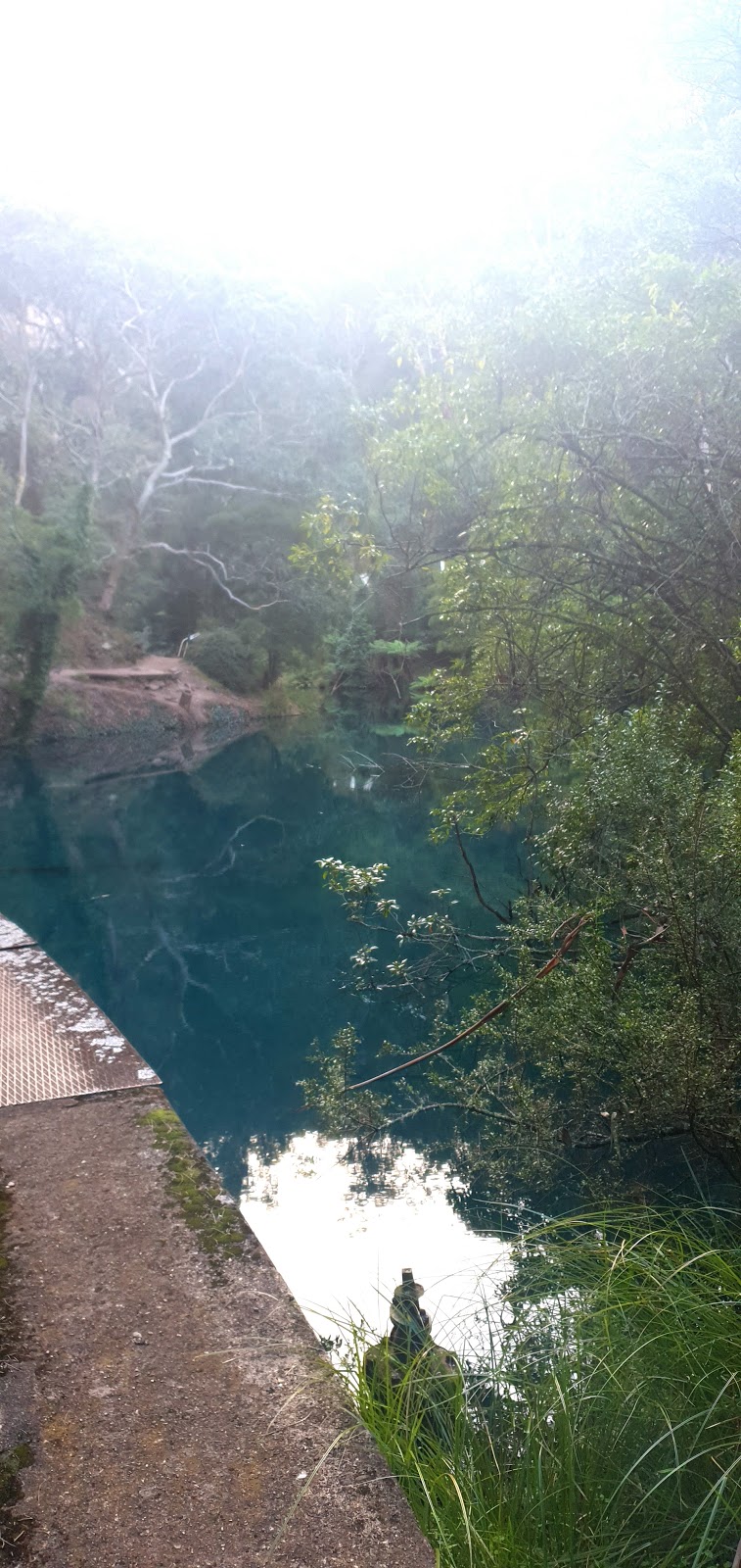 Six Foot Walking Track | tourist attraction | 4654 Jenolan Caves Rd, Jenolan NSW 2790, Australia | 0247878877 OR +61 2 4787 8877