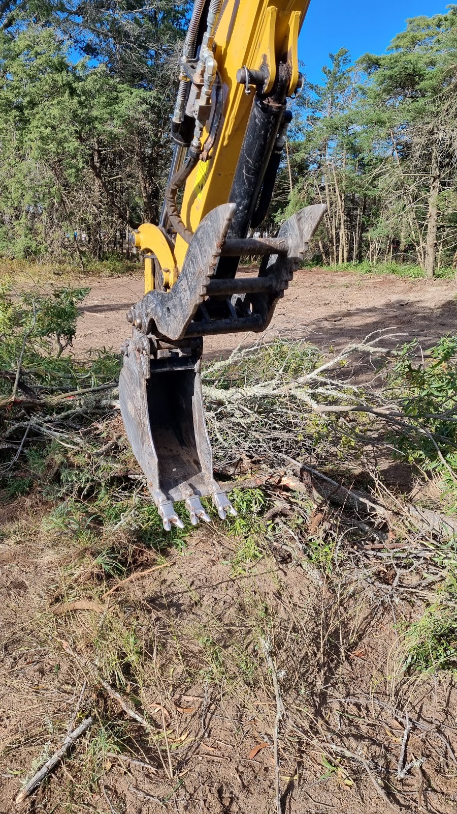 Shanes Mini Excavator and Bobcat Hire | 66 Matthews Ln, The Summit QLD 4377, Australia | Phone: 0403 593 506