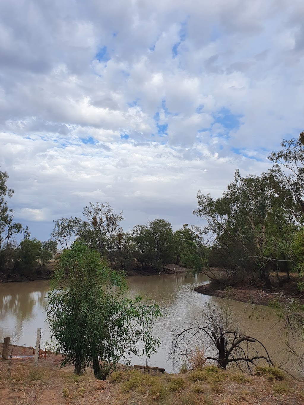 Bokhara River Campground | Hebel QLD 4486, Australia | Phone: (07) 4620 8877